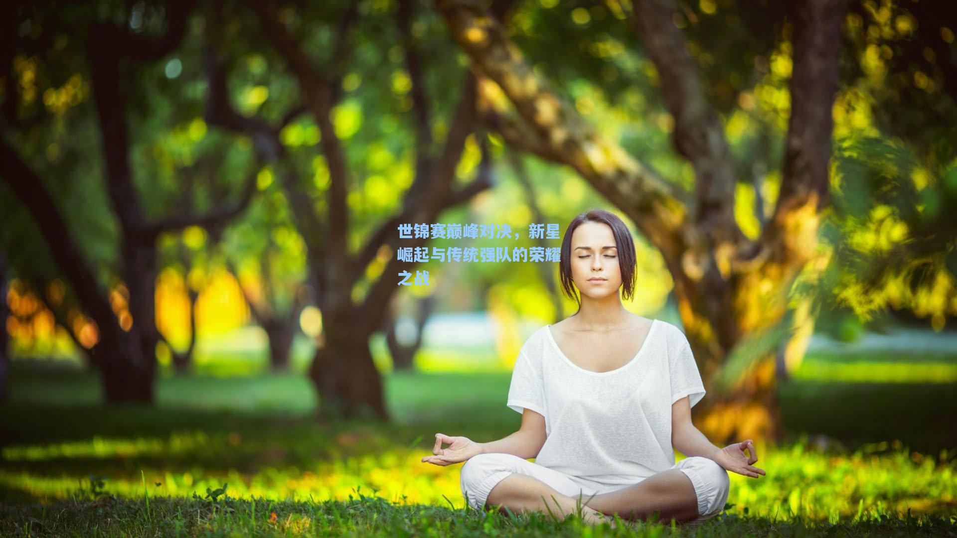 世锦赛巅峰对决，新星崛起与传统强队的荣耀之战