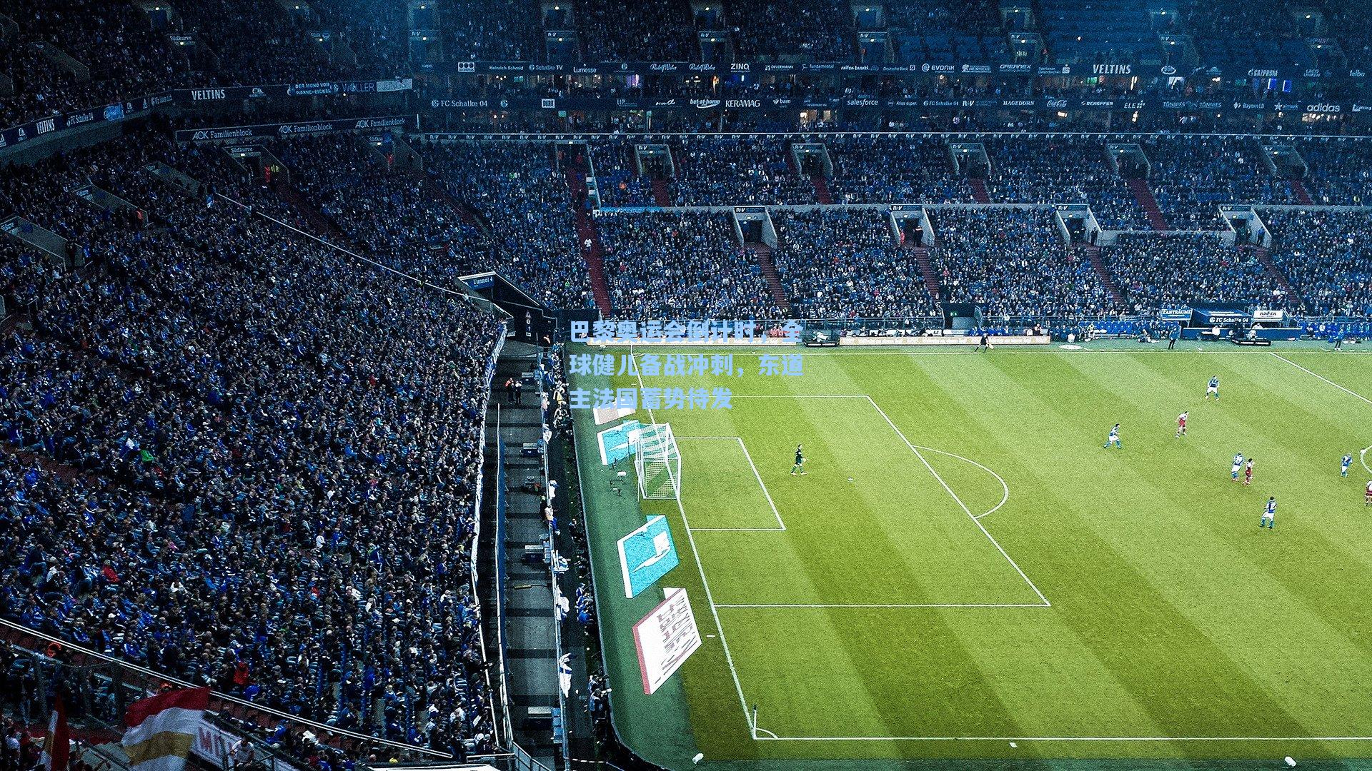 ng体育官网-巴黎奥运会倒计时，全球健儿备战冲刺，东道主法国蓄势待发